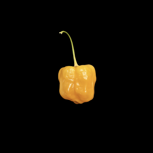 Aji Mango