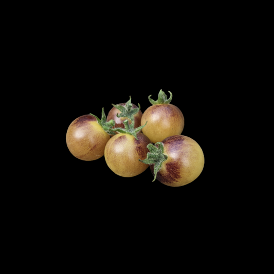 Amethyst Cream Cherry