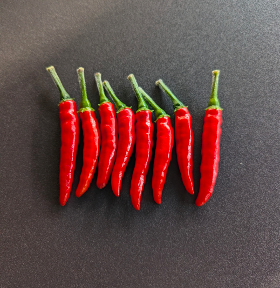 Nayarit Chili Cora