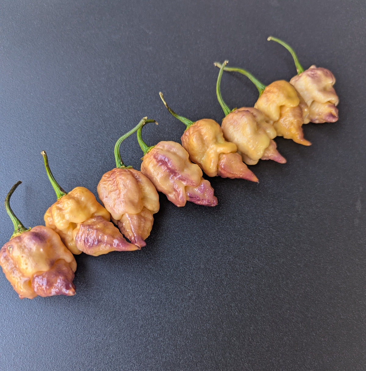 Carolina Reaper Purple Peach