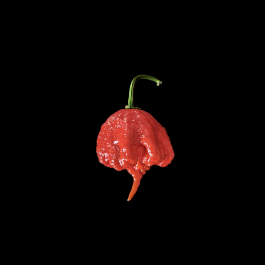 Carolina Reaper