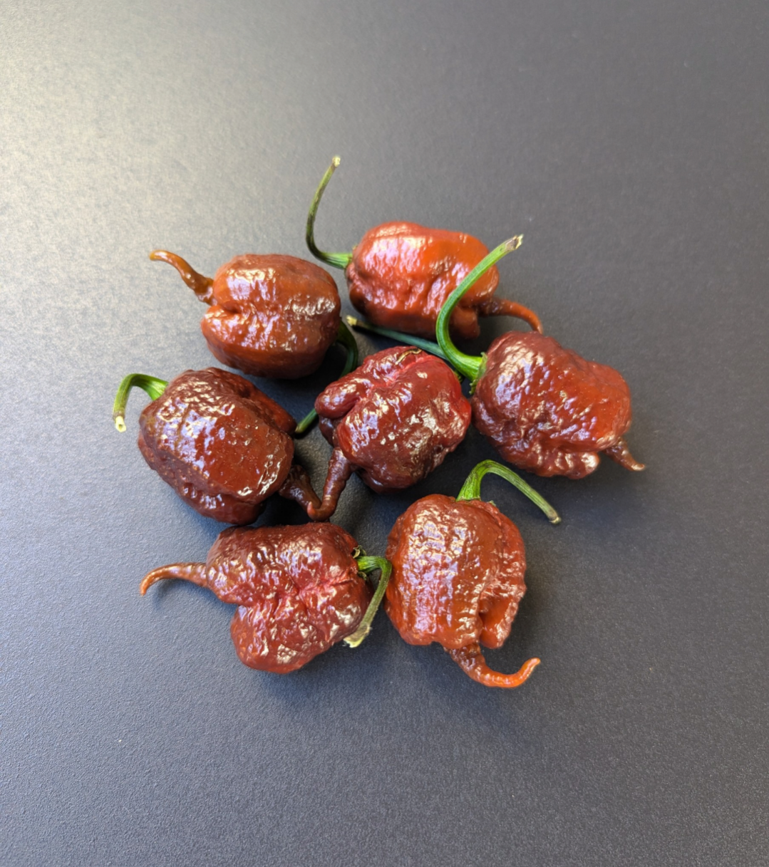 Carolina Reaper Chocolate