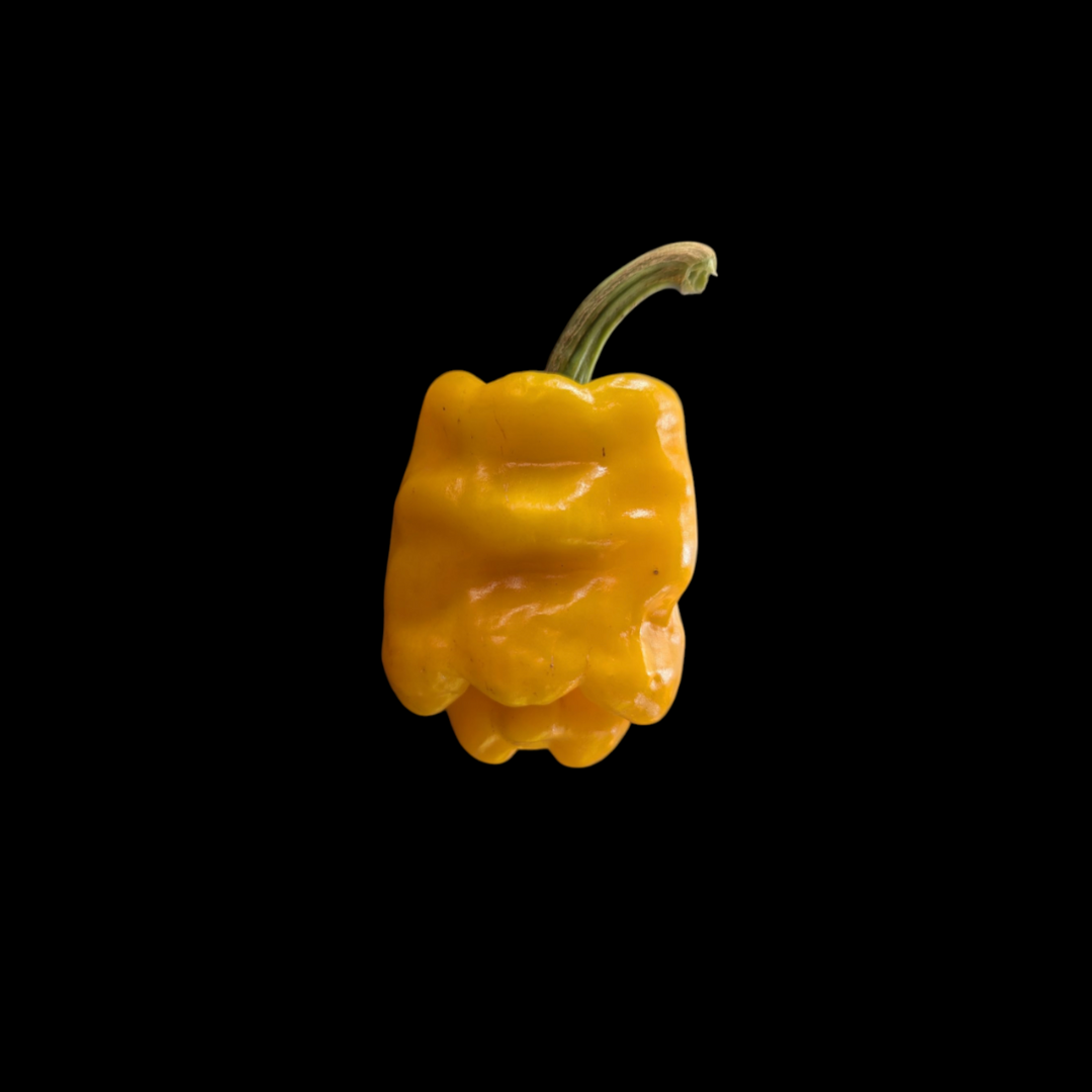 Dragon's Toe – Scoville Canada