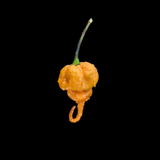 Jay's 7 Pot Primo Peach