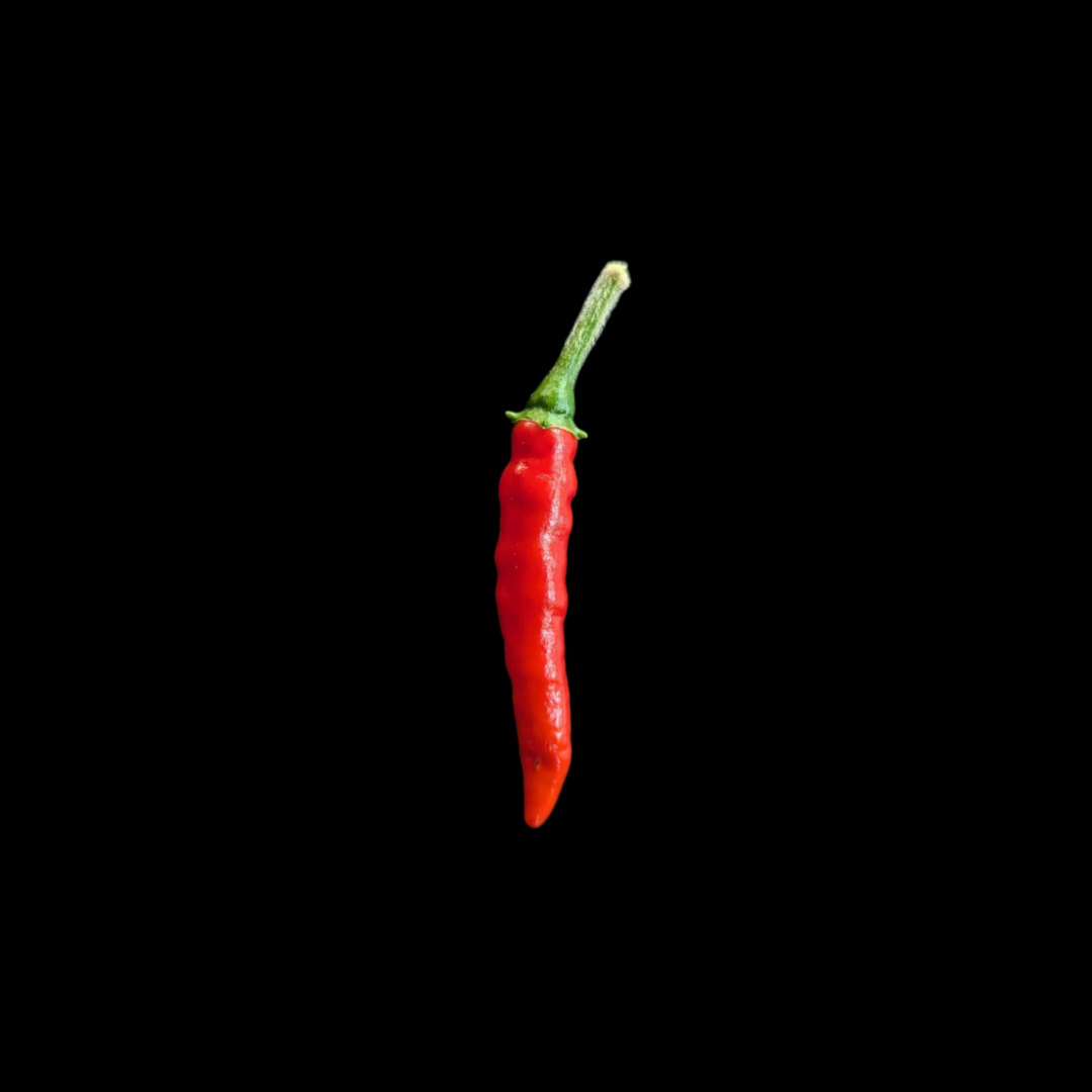 Nayarit Chili Cora