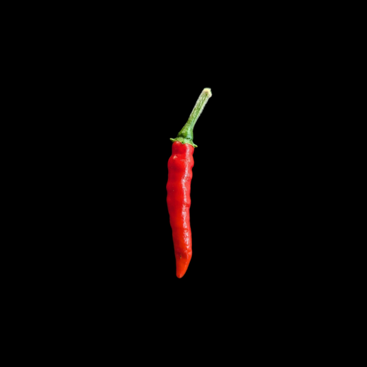 Nayarit Chili Cora