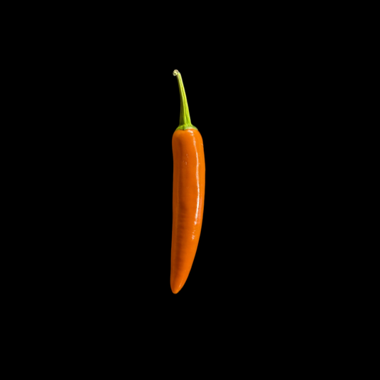 Orange Thai Chili