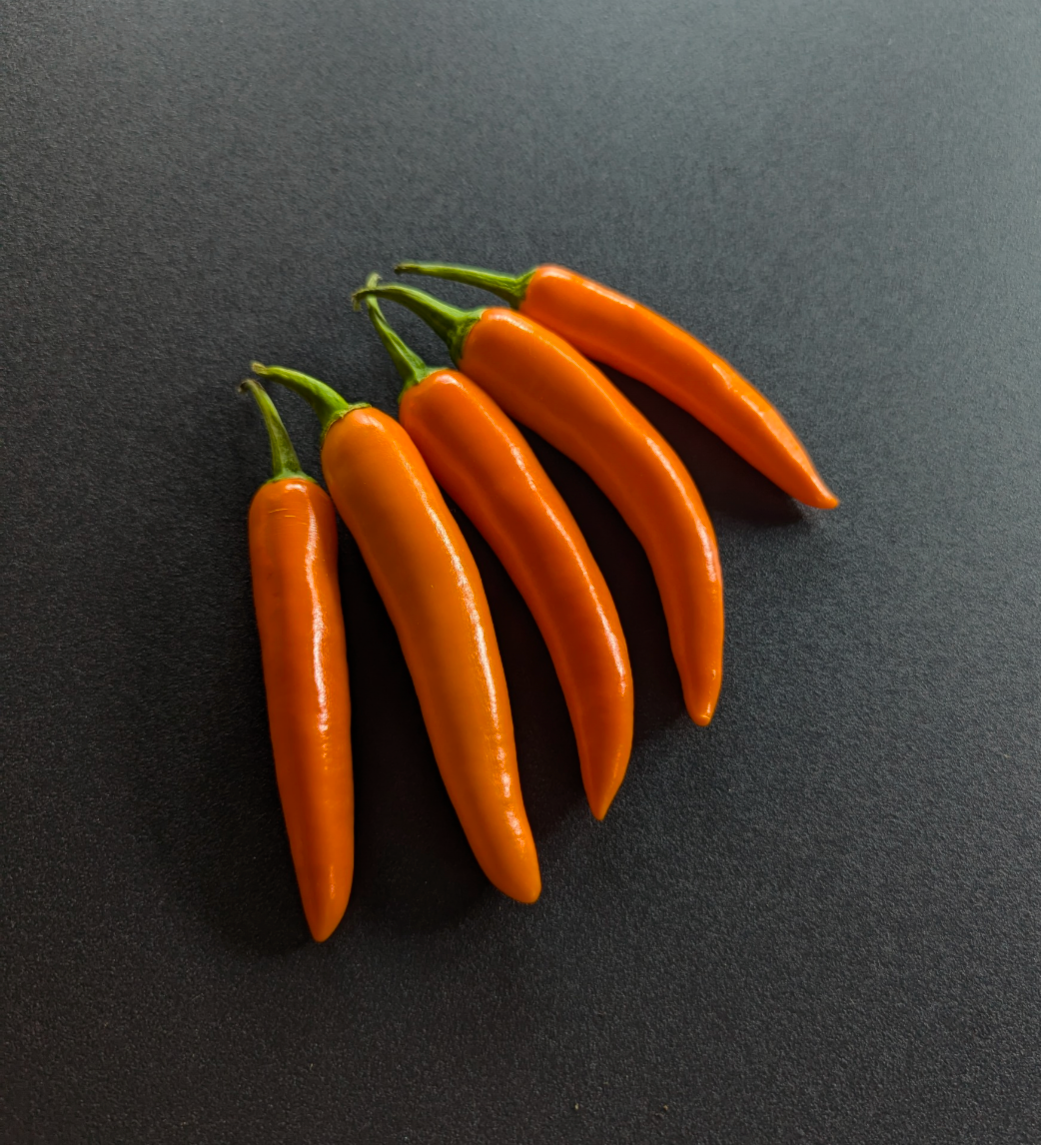Orange Thai Chili