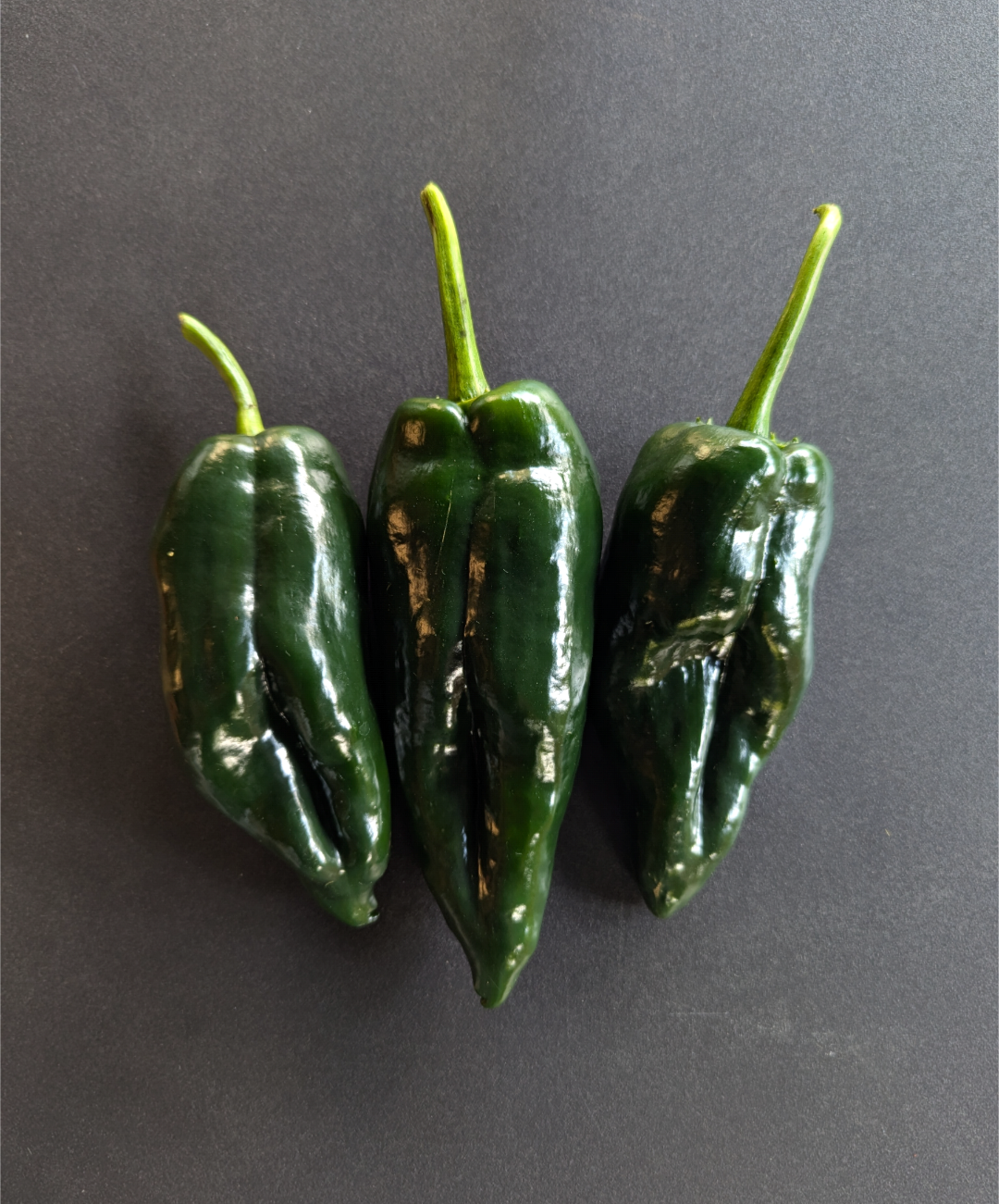 Poblano