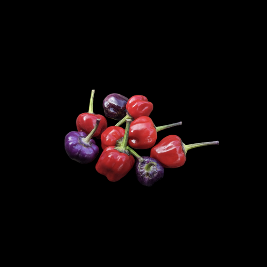 Purple Pumpkin