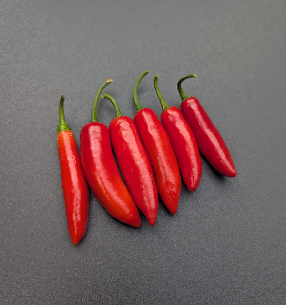 Serrano