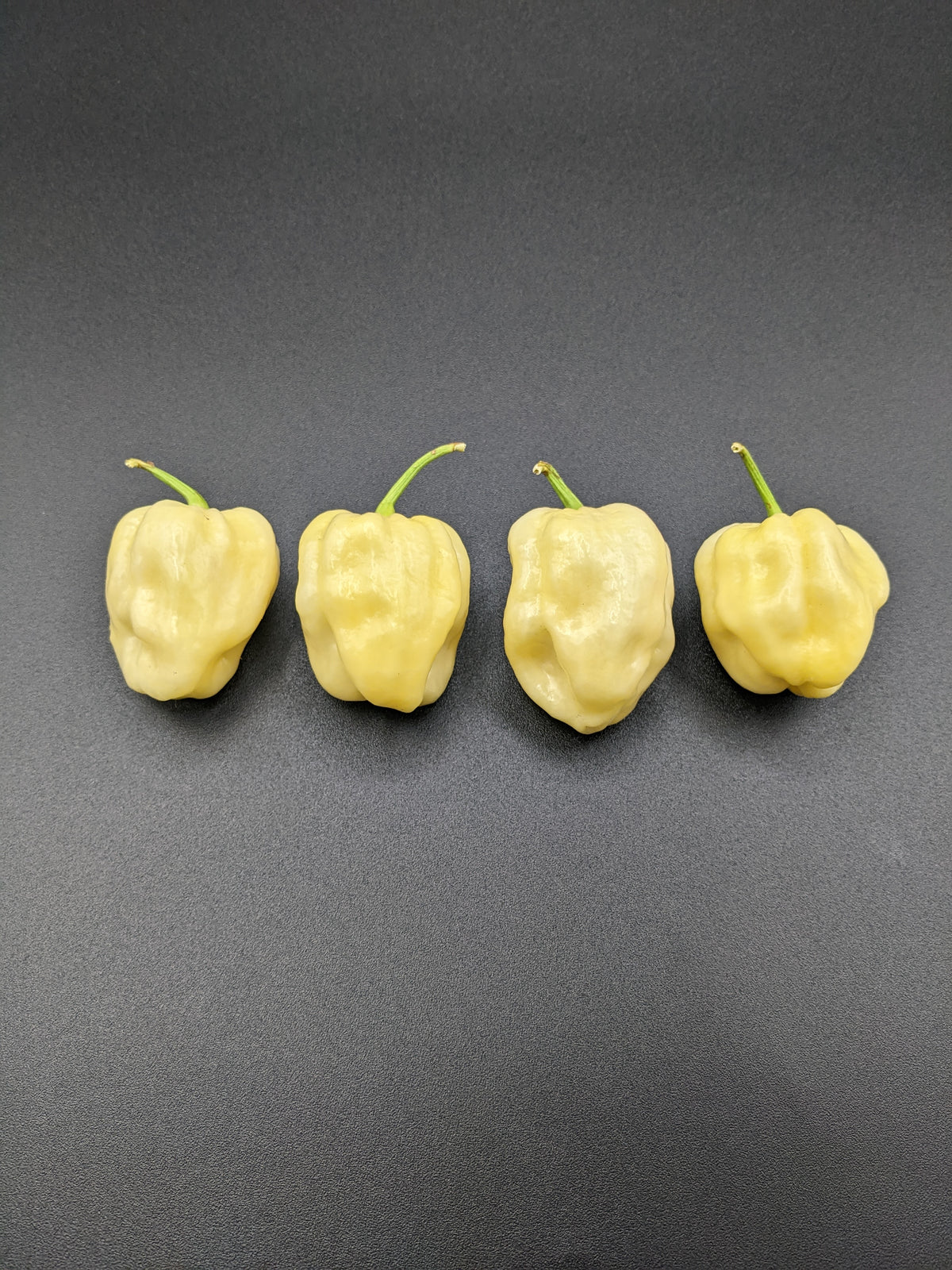 White Habanero