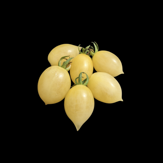 Barry's Crazy Tomato