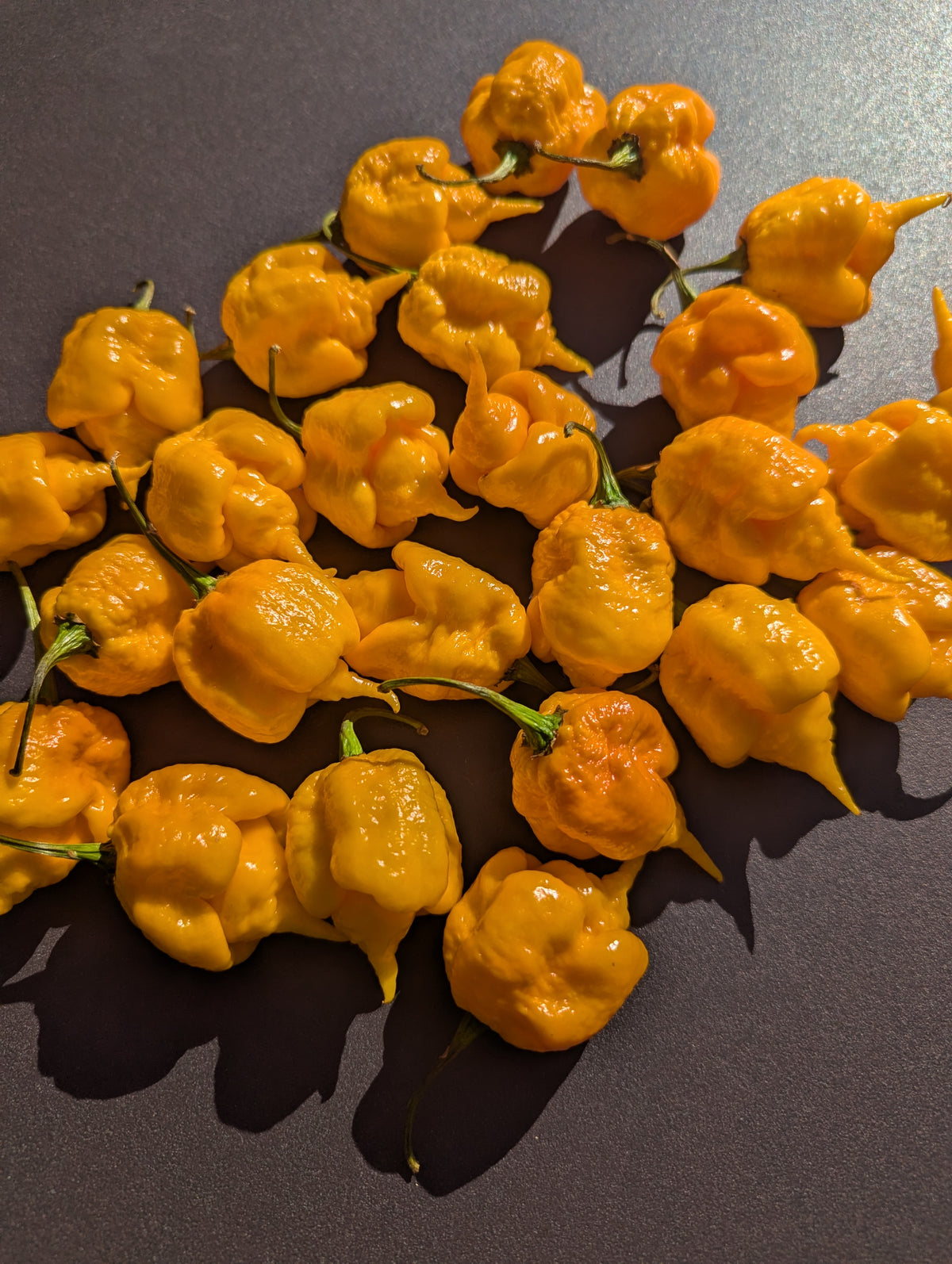 Carolina Reaper Orange