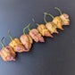 Carolina Reaper Purple Peach
