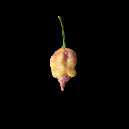 Carolina Reaper Purple Peach