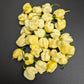 Carolina Reaper White