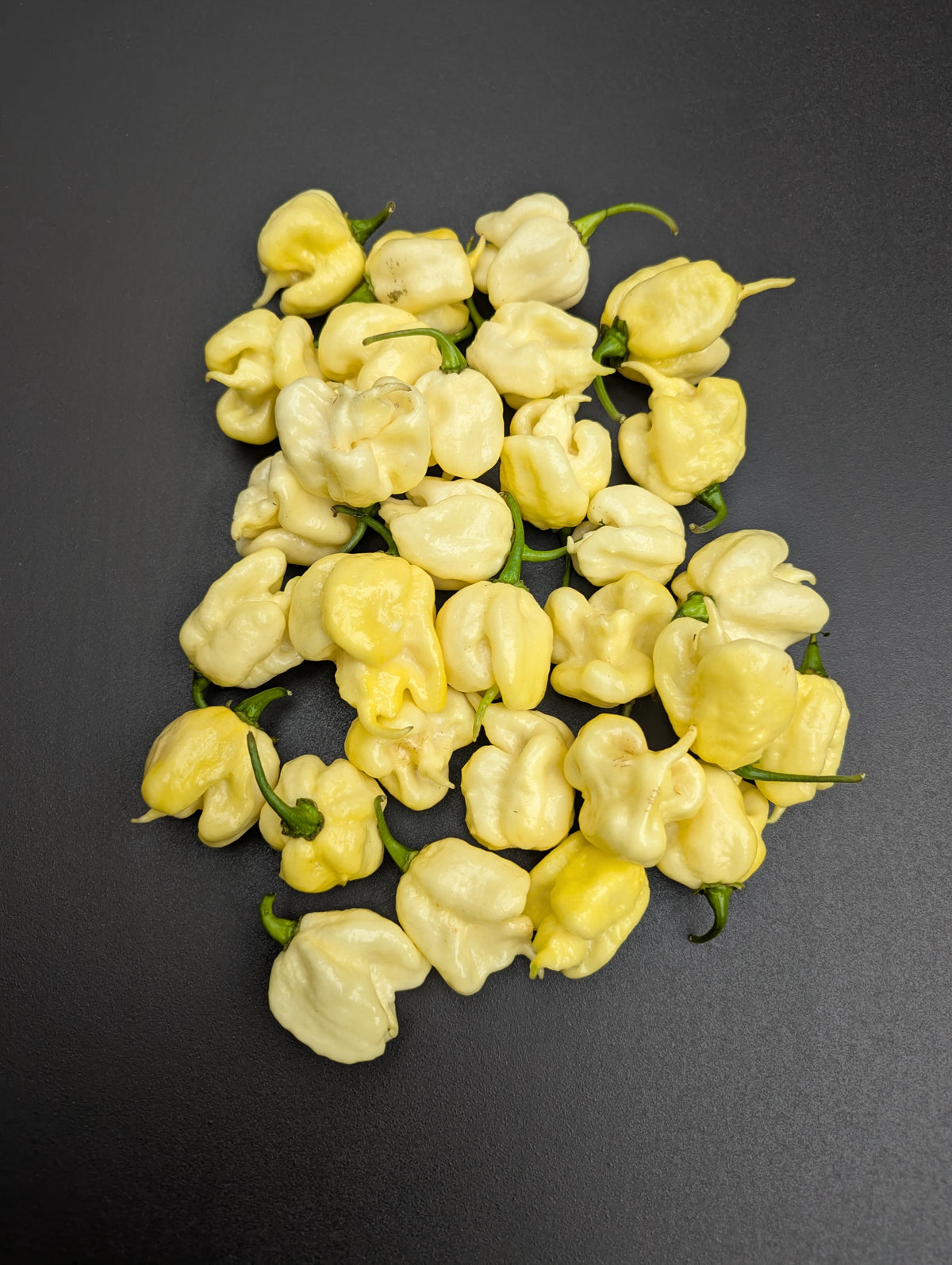 Carolina Reaper White
