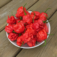 Carolina Reaper