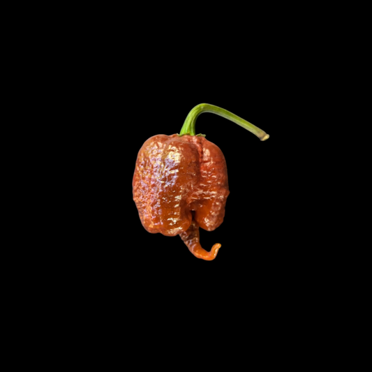 Carolina Reaper Chocolate