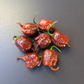 Carolina Reaper Chocolate