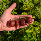 Carolina Reaper Chocolate