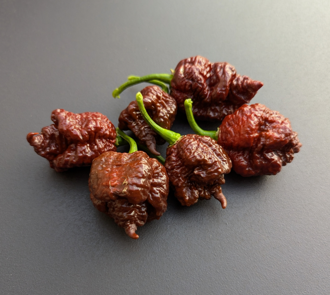 Carolina Reaper Chocolate