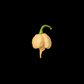 Carolina Reaper Peach