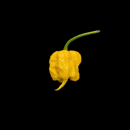 Carolina Reaper Yellow