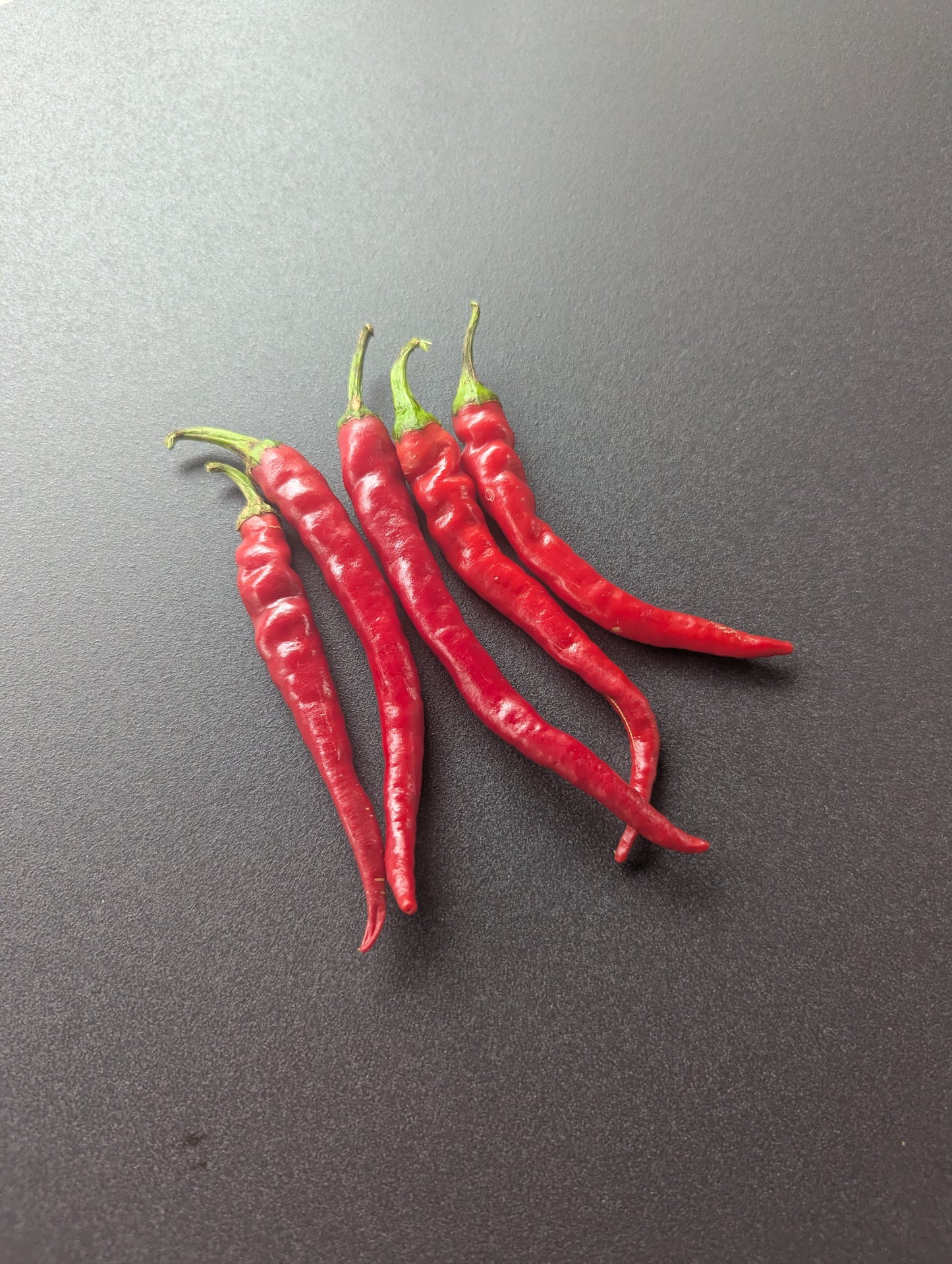 Cayenne Long Thin