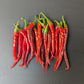 Cayenne Long Thin