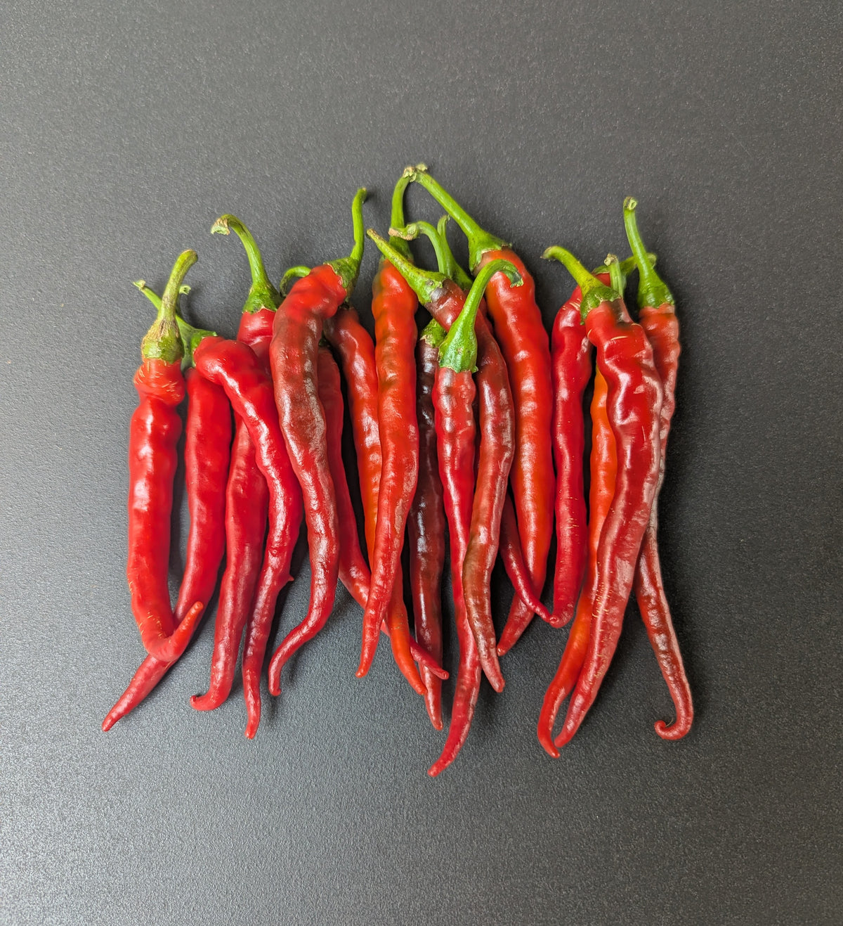 Cayenne Long Thin