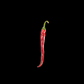 Cayenne Long Thin