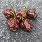 Trinidad Moruga Scorpion Chocolate