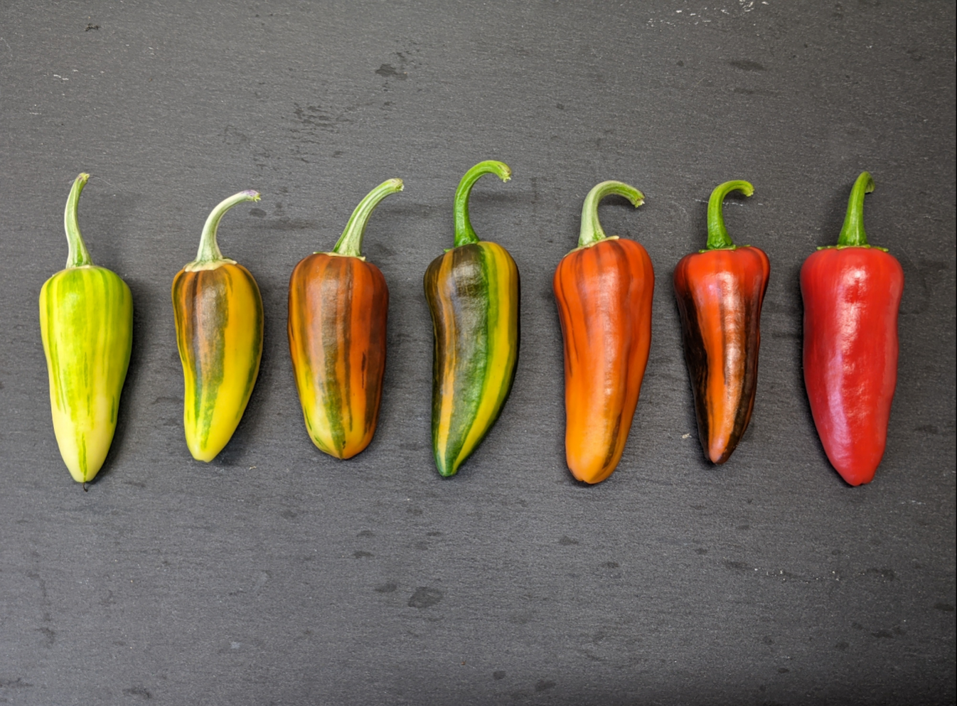 Fish Pepper Scoville