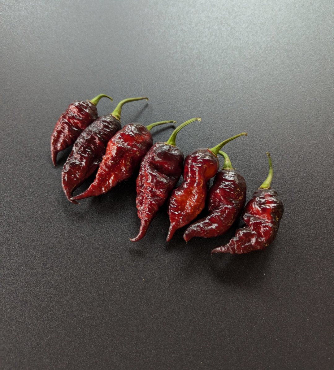 Fox Purple Ghost Gnarly Ruby