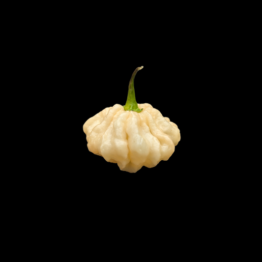 Goat Brains