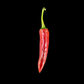 Guajillo