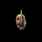 Chocolate Habanero