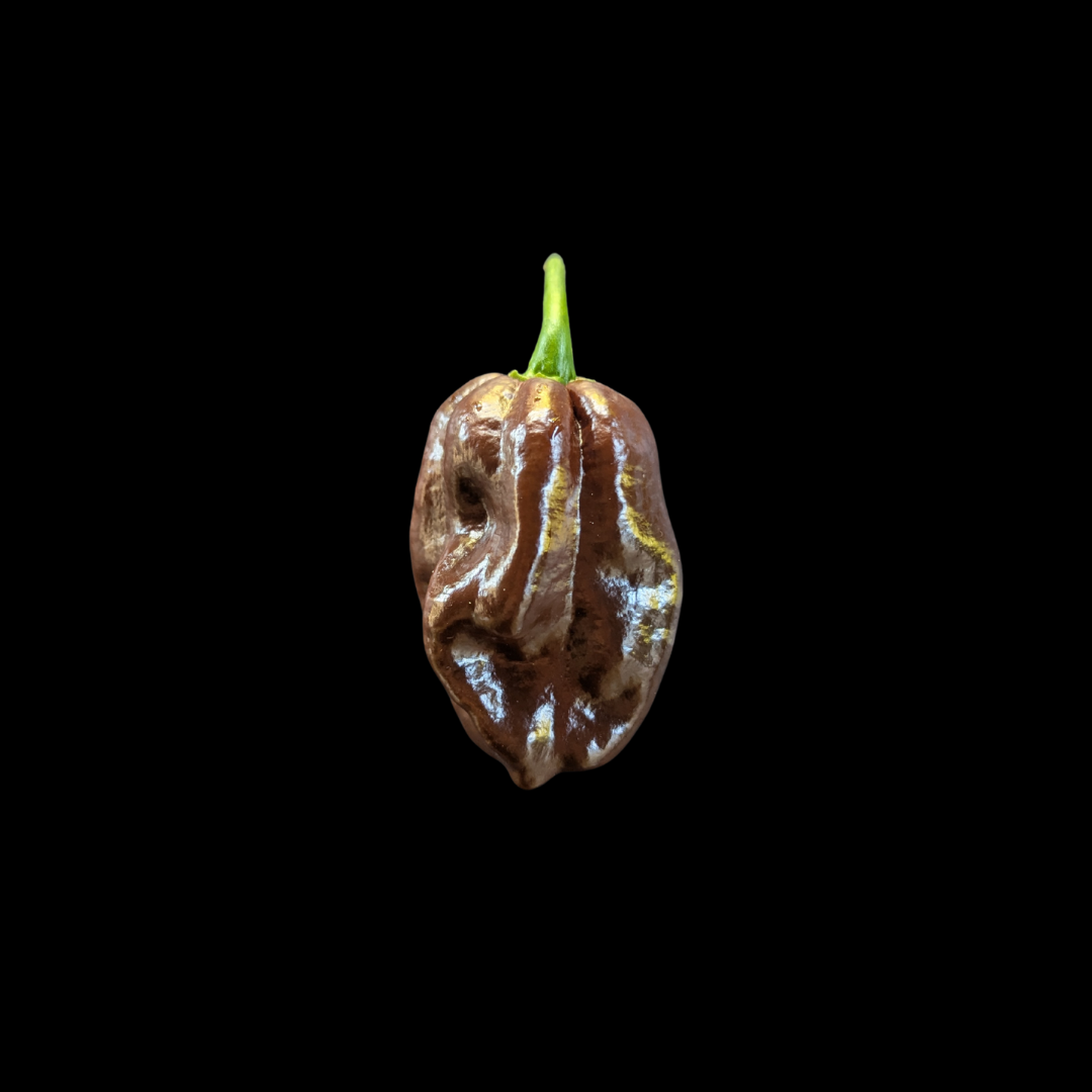 Chocolate Habanero