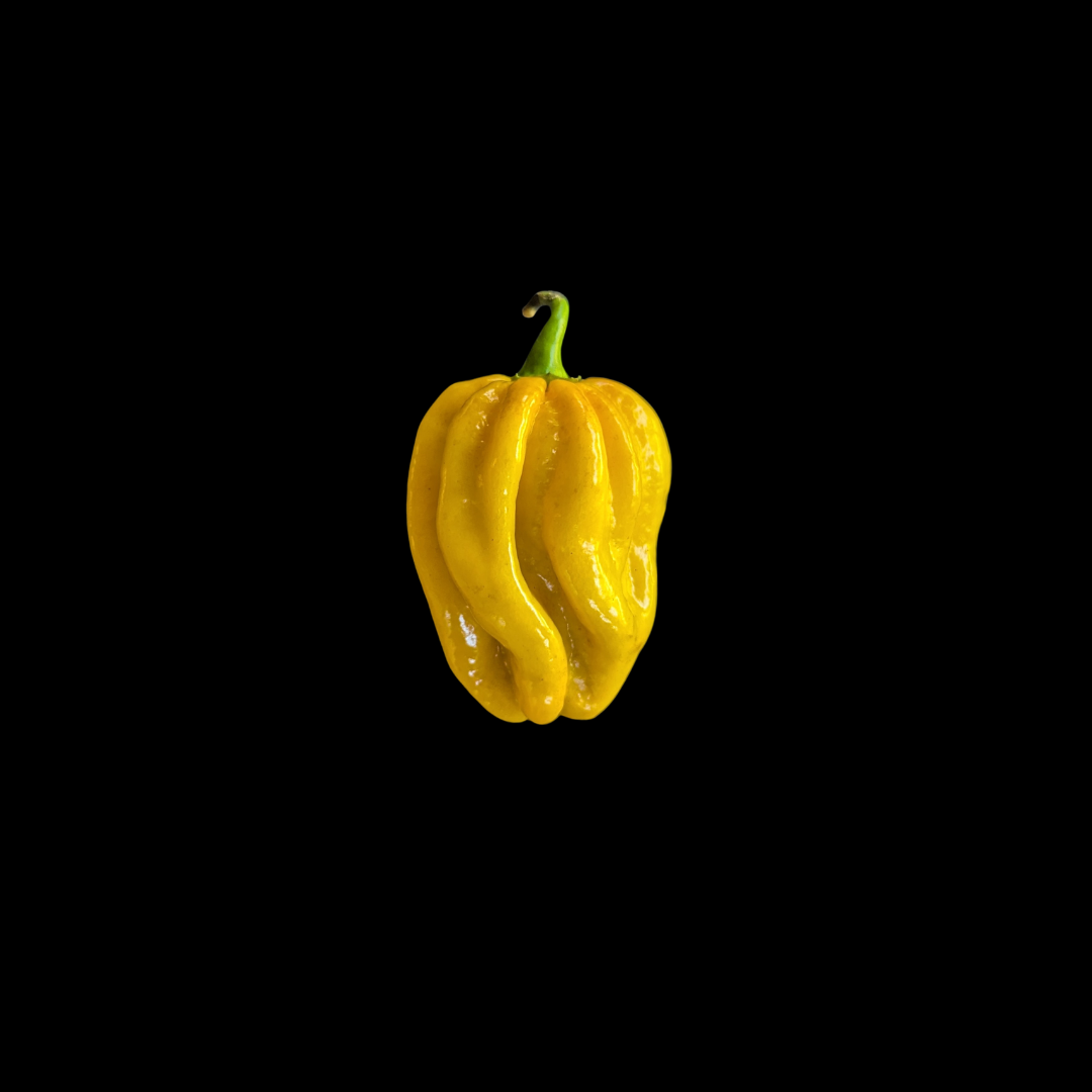 Yellow Habanero