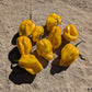 Yellow Habanero