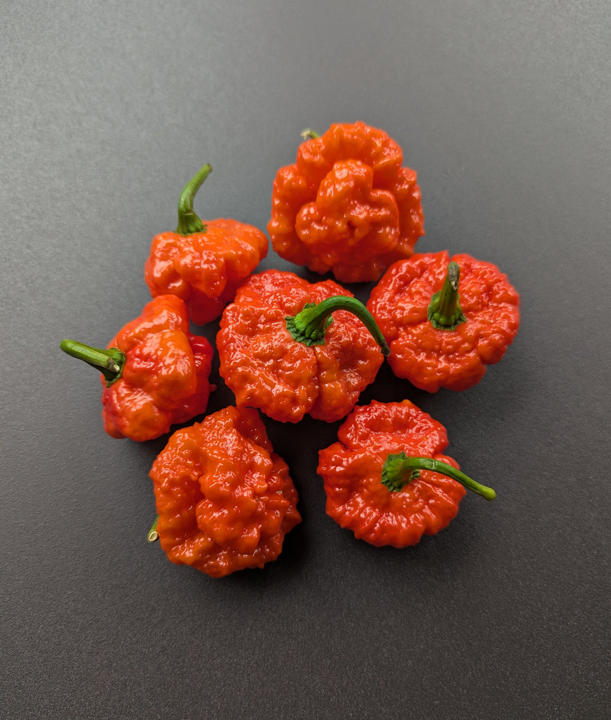 Jamaican Red Scotch Bonnet