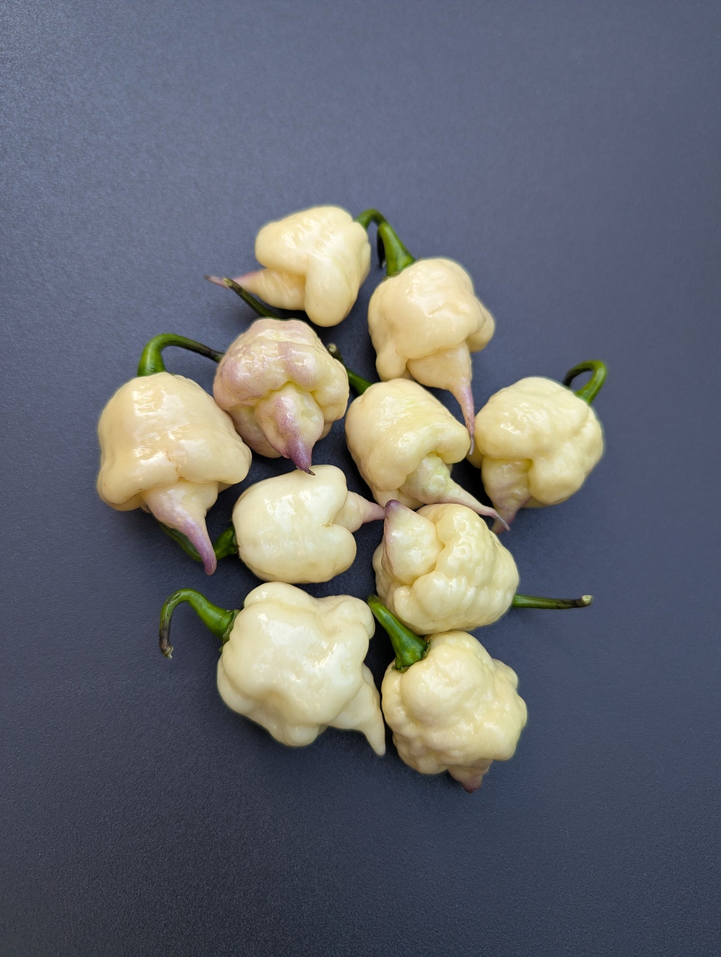 Jay's x Pink x Lemon Reaper