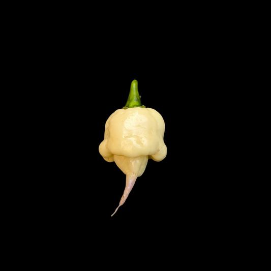 Jay's x Pink x Lemon Reaper