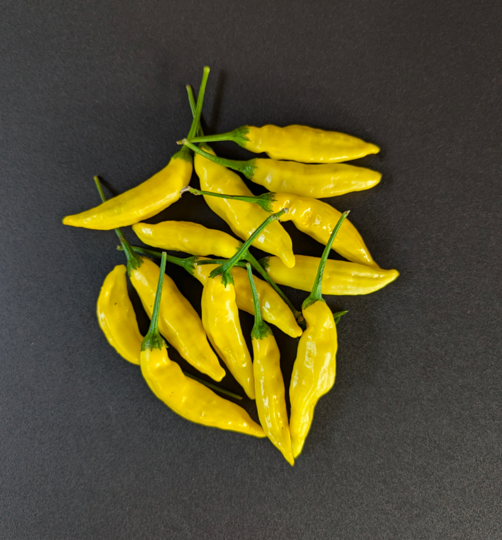 Aji Limo / Lemon Drop