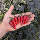 Naga Black Twister