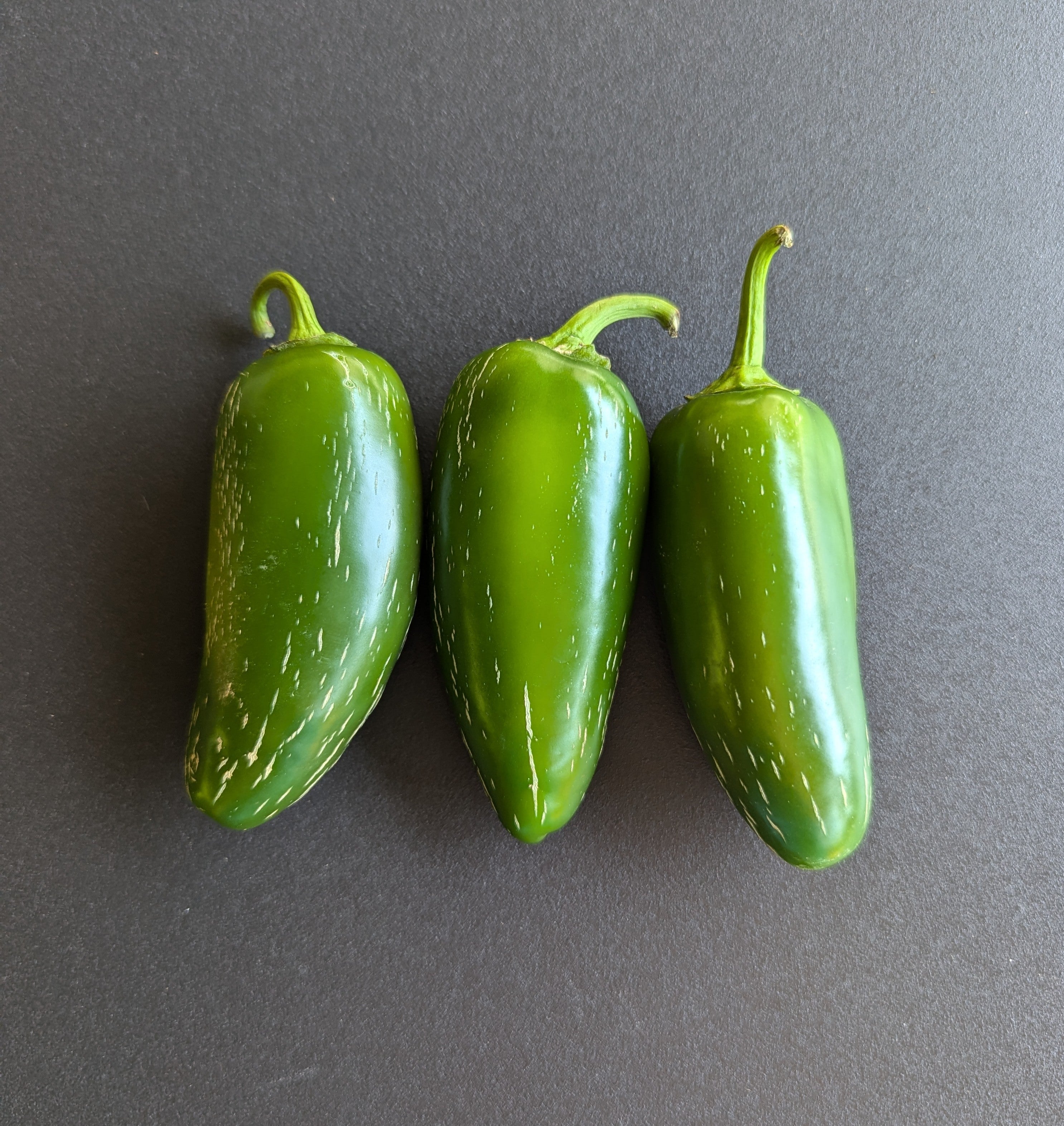 pepper Jalapeño Jalmundo Numex – Scoville Canada