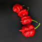 7 Pot Lava