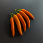 Orange Thai Chili